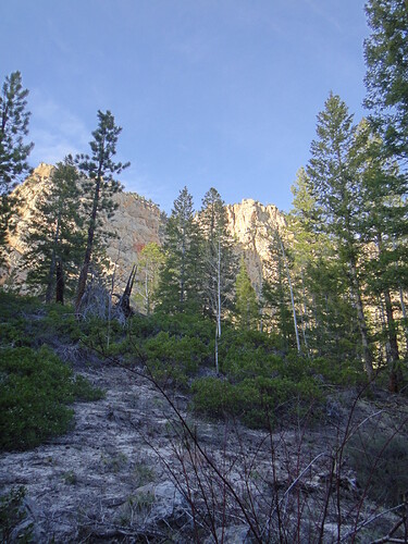 Evening Light